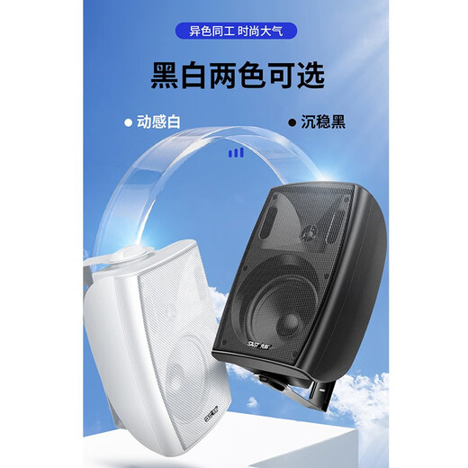 先科（SAST） 壁挂蓝牙功放重低音音响套装大功率影音箱组合家用店铺室内超市餐厅挂壁式奶茶店背景音乐 100W功放+4寸重低音壁挂*2