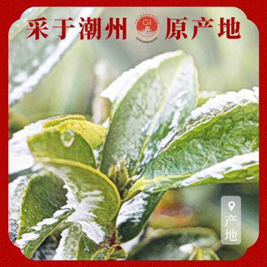 Shanlihuo Tee Spezialduft Chaozhou Phoenix Single Pine Oolong Tea Snow Chip Entengeschmack Single Wattebeutel 500g wird nicht für Verpackungen verkauft