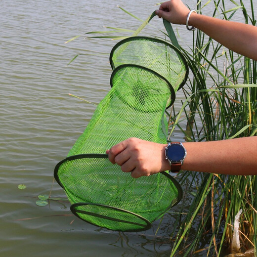 Portable small fish protection, simple foldable fish and shrimp basket, anti-hanging, quick-drying, thickened crab and lobster anti-jump net bag fishing gear, small size (length 50CM)