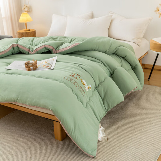 Yalu Home Textile Class A soybean fiber quilt in winter quilt thickened 10 Jin [Jin equals 0.5 kg] Double winter quilt single person 6 Jin [Jin equals 0.5 kg] Space quilt Miya-green [A maternal and infant grade soy protein] 200x230cm10 Jin [Jin equals 0.5 kg] Thickened winter quilt