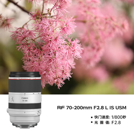 Canon r5 professional micro single camera bird shooting equipment digital camera eos r5 full frame Vlog camera 8K video shooting R5 body disassembled + RF70-200 F2.8 lens Package three [original shoulder bag + external photo fill light + professional photography tripod]