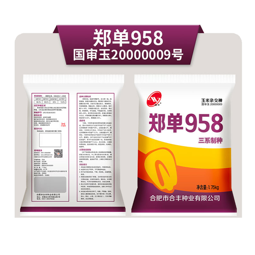 GJXBP раннеспелые гибридные семена полевой кукурузы Zhengdan 958, корм для семян, семена фруктовой кукурузы, кукуруза Guangdong Sweet 31, 100 г, оригинальное национальное одобрение