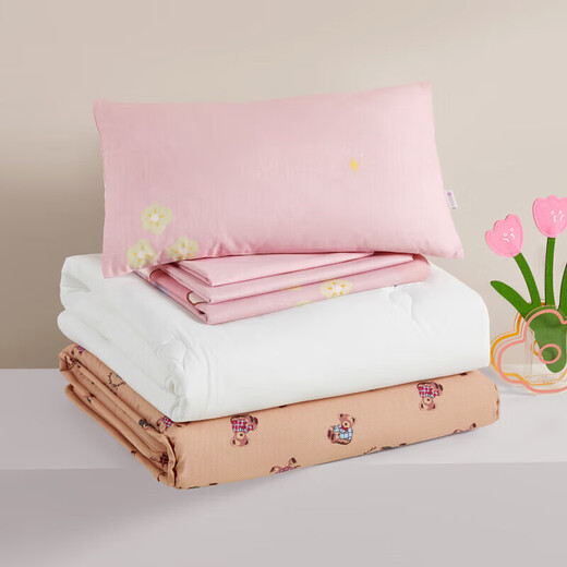 Luolai Children's Kindergarten Six-Piece Set Student Dormitory Girls Entering the Garden Quilt Mattress Quilt Cover Pillow Core Multiple-Piece Set 120*150