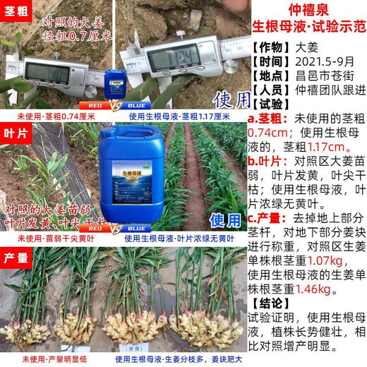 Zhongxiquan Rooting Mother Solution Breathable Rooting Agent Nutrient Solution Organic Fertilizer Fruit Trees Flowers Vegetables Rooting Strong Seedlings White Genduoduo 50Jin Jin is equal to 0.5kg *2 barrels delivered to villages and towns