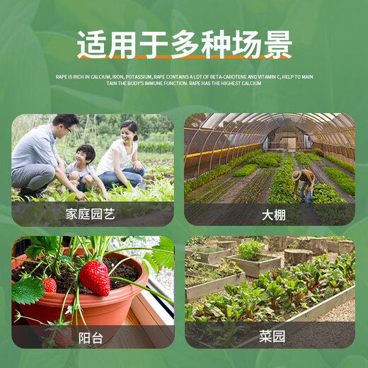 Huawoli Cream Strawberry Seeds 1000 Red Strawberry Vegetable Seeds Four Seasons Strawberry Seedlings Indoor and Outdoor Balcony Potted Plants