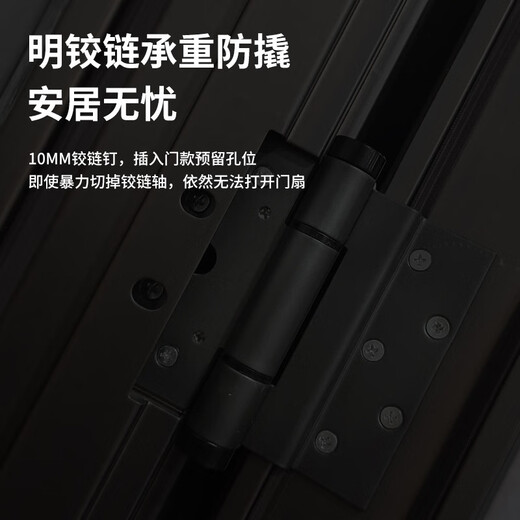 挺固 甲级防盗门通风窗门家用轻奢防盗门进户门入户门通风门子母门 A8机械锁 1050*2050mm【开向咨询】