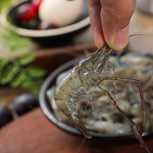 Fresh river shrimp 200g/portion