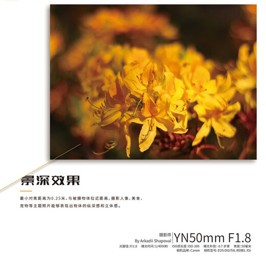 Yongnuo YN50mm F1.8 multi-SpecificationsR-mount small spittoon SLR mirrorless standard fixed focus lens suitable for Sony port ZV-E10 Nikon port Fuji port Canon port camera YN50mm F1.8 Canon EF mount