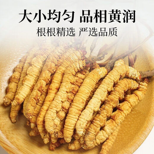 Пекин Тонгрентанг [Черная пятница] Cordyceps Sinensis Fresh Cordyceps сухожие товары Cordyceps Аутентичный фестиваль чистого мяса 31 штуки для 3 пакетов