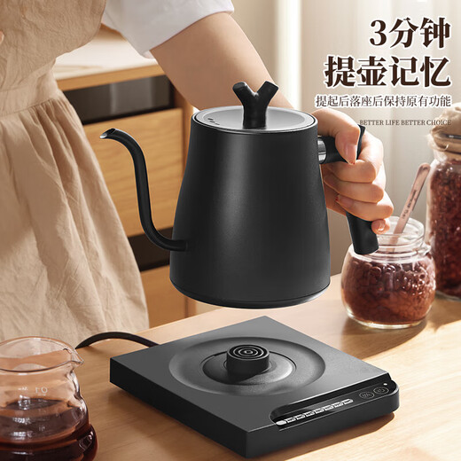 PAKCHOICE hand brewing kettle coffee electric temperature control hand brewing kettle hanging ear long mouth constant temperature tea kettle electric kettle