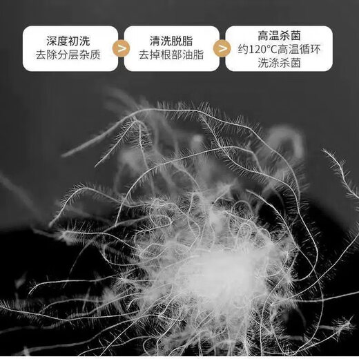 Li Lang bulk down one Jin [Jin equals 0.5 kg] pack 90 duck down 95 white goose down jacket down quilt pillow filling raw material down 90 fine white duck down white big bun one Jin [Jin equals 0.5 kg] pack 500 gram