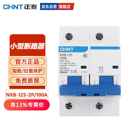 Chint (CHNT) overload air switch NXB-125-2P-C100 small circuit breaker 100A