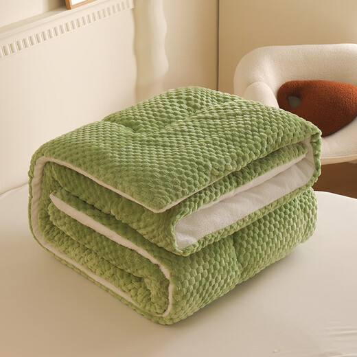 Arctic velvet quilt core thickened to keep warm lamb velvet winter quilt student dormitory single quilt plus double home cover quilt beautiful - bean green [double-sided velvet quilt] 150x200cm6Jin [Jin equals 0.5 kg] (winter quilt)