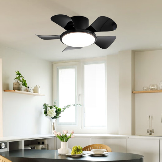 风向标儿童房卧室风扇灯马卡龙小型吊扇灯家用静音过道阳台薄吸顶电扇灯 全光谱小爱29-724A绿+彩色叶吸顶