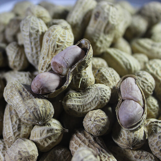 芳跃贵州特产铜仁芳跃珍珠花生办公休闲食品小吃蒜泥熟果 2袋206克装