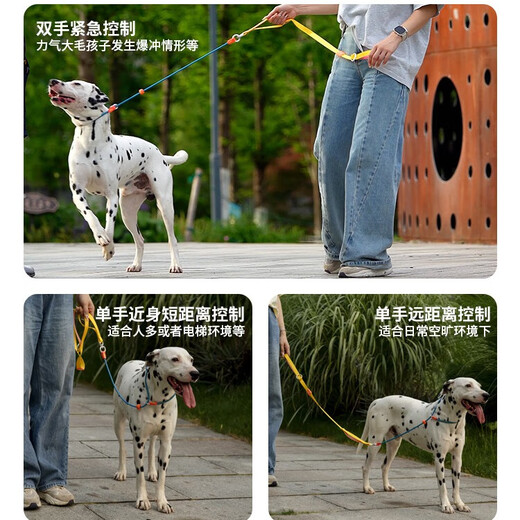 HowgoHowgo Training P Rope Dog Leash Dog Rope Harness Small, Medium and Large Dog P Chain Explosion-Proof No Hair Stuck No Hair Stuck Upgraded Dopamine Training P Rope