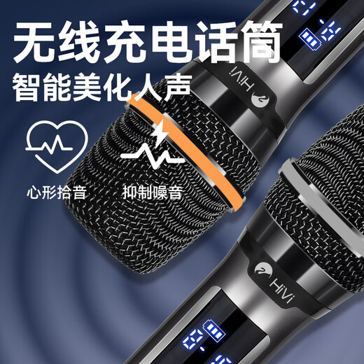 惠威（HiVi）户外广场舞K歌音响 12吋唱歌大功率拉杆移动音箱 麦克风功放一体机乐器演出低音炮双麦蓝牙 MA12