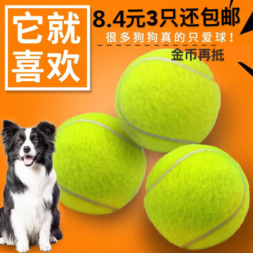 Dog Toy Ball Golden Retriever Teddy Bouncy Ball Teeth Resistant Tennis Pet Puppy Labrador Puppy Training Pet Tennis Ball 2 Pack