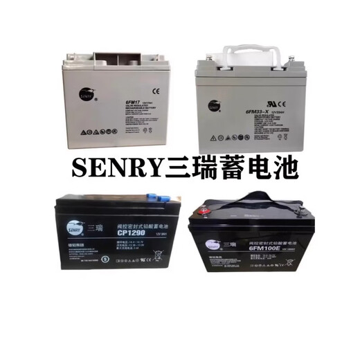 雄韬三瑞 VISION V蓄电池CP12240-X CP1265F 6FM33-X12v7ah 直流屏UPS消防通讯设备 6FM200P