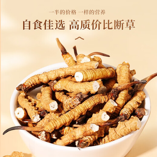 正宗藏区高海拔冬虫夏草断草整肉节10克大瓶装自用家庭装干货正品 西藏那曲精品整肉节5克