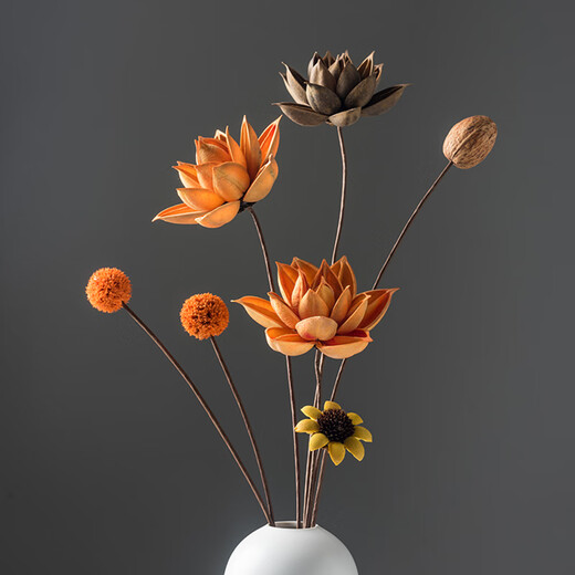 Stern Adventure Trocken Blumenstrauß echte Blumendekoration Ornament Lotus luftgetrockneter Lotus Pod Natural Lotus Wurzel Zen Blume Arrangement Chinesische Wohnzimmer Dekoration getrocknete Blume Kombination 5012 getrockneter Blütenbeutel