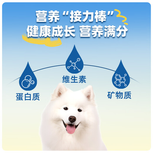 Jiu Sheng new product launch Jiu Sheng fish oil freeze-dried sticks for cats, teething sticks for dogs, freeze-dried cat snacks, 3 packs