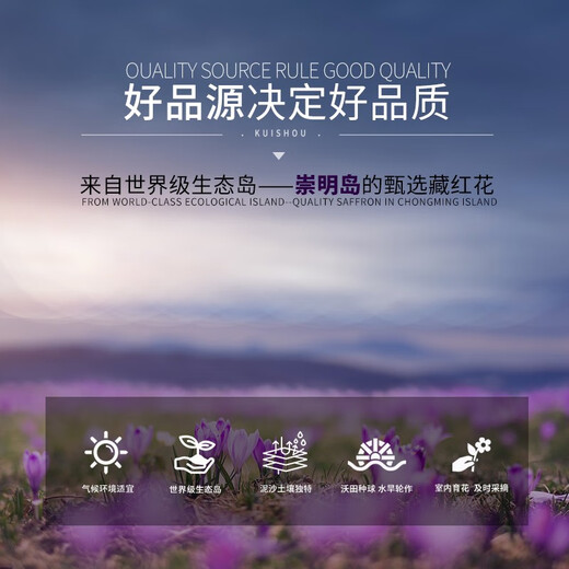 Zhenpin Island Zhenpdo [Blumen kaufen und die Bälle holen] Shanghai Chongming Specialty Safran, echter Safran, exklusive Stufe 10g