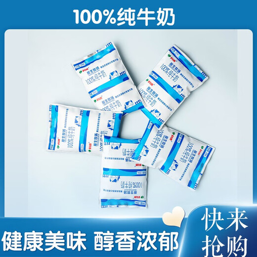 Cody Native Ranch 100% Pure Milk Sterile Pillow Pack for Children, Students and Adults Full Cream Fresh Milk Cody Pure Milk Pillow Pack 220ml*16 Bags Cody Pure Milk Pillow Pack