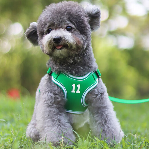 COCS狗狗牵引绳背心式中小型犬狗绳篮球运动风柯基柴犬遛狗绳狗胸背带 绿色(胸背+1.45米绳子) L（胸围60-76cm 建议25-45斤）