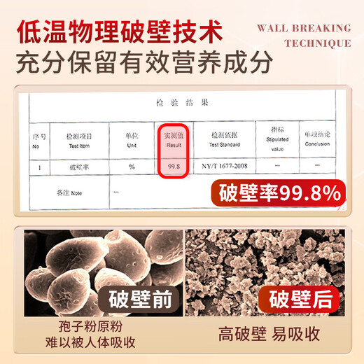 Yuanshengtai Breaking Wall Ganoderma lucidum Spore Powder Capsules 240 capsules/box Enhance immunity Nutritional products and health care gift box for middle-aged and elderly people [1 year quantity] 12 boxes Deeply consolidated, measured triterpenes content 15.6%