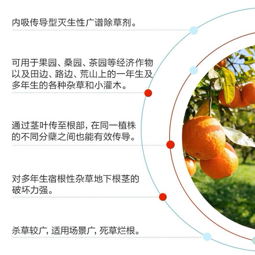 Xin'an Nongwang 757 Glifosato de sal de amonio 68% de hierba Herbicida de hierba Glyphosato Xin'an Nongwang 50g*50 bolsas