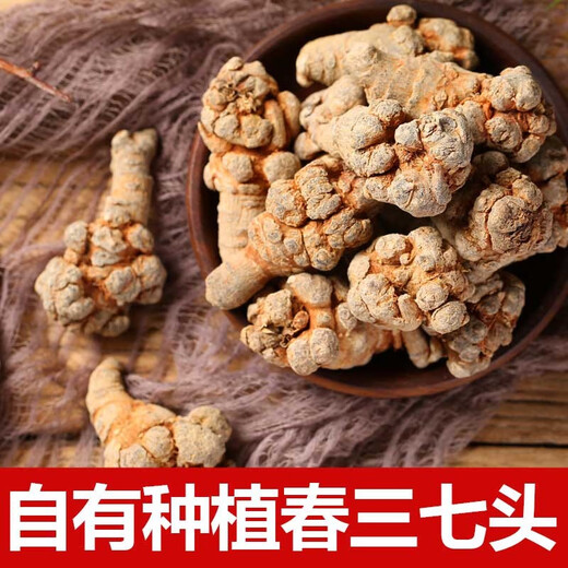 Panax notoginseng Yunnan Wenshan Spring Panax notoginseng Selected Chinese medicinal materials without cuts and nourishing gifts Sanqi Tianqi Selected 24 heads and 24 [500 grams] No cuts and 37 heads/hair whole