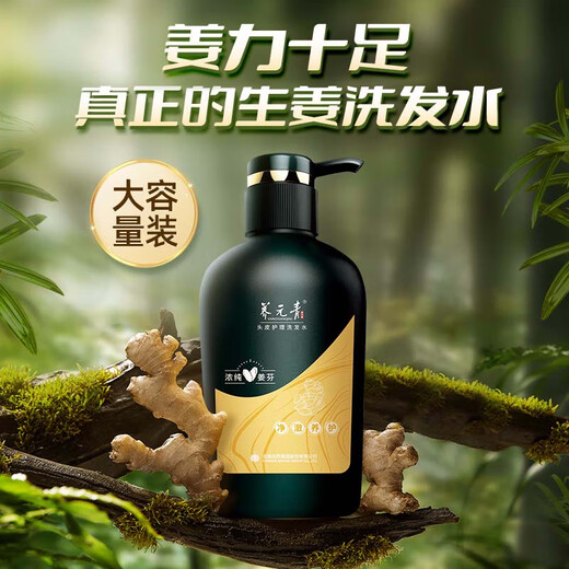 养元青洗护套装710ml控油健发柔顺生姜洗发水500ml+护发素210ml