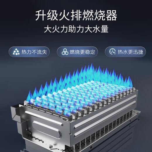 Rinnai Blue Whale 20L gas water heater, state subsidy, zero cold water, large water volume 20GD61R (JSQ40-GD61R)