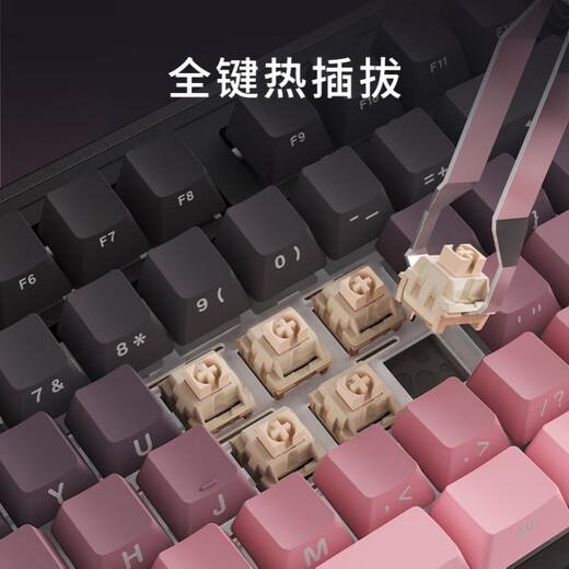 AJAZZ AK870PLUS Structure du joint de clavier mécanique personnalisé à trois modes Structure de clavier à cinq couches Full Key Swap RGB Position de lumière inférieure E-Sports Game HJ13A [trois modes] Filor