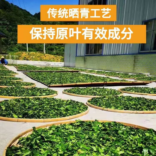 Xiushui Wildgrün und Qian Liu Tea Qingjin Geld Spezielle Grade Ancient Tree Tender Blätter Originalblätter mittleren Alters und älterer Gesundheit Tee zwei Jin [Jin entspricht 0,5 kg] 1000 Gramm Originalblätter