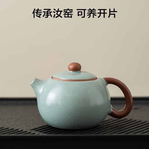 Made in Tokyo, complete tea set, Kung Fu tea set with tea tray, teapot, tea cup, Tianqing Ru Kiln Xi Shi teapot, 16 pieces
