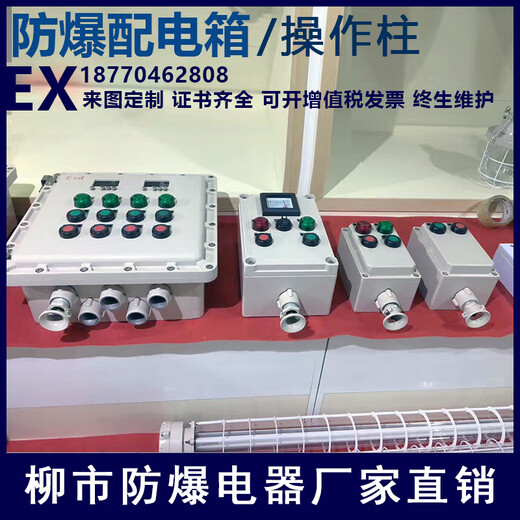Customized applicable explosion-proof distribution box lighting inspection button instrument switch control cabinet anti-corrosion operating column stainless steel explosion-proof distribution box 11 circuit + main switch