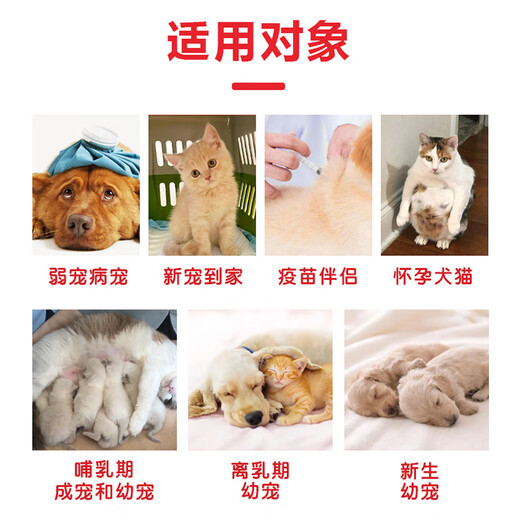 Cute Pet Star Lactoferrin 0 Lactose Goat Milk Powder Dog Goat Milk Powder Cat Milk Powder Pet Zero Lactose Goat Milk Powder 5g*20 Bags