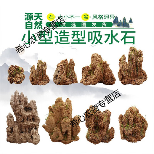 OIMG absorbent stone landscape absorbent stone rockery bonsai natural landscaping raw stone rockery stone courtyard rockery natural raw stone 10-14CM absorbent stone (pot not included)