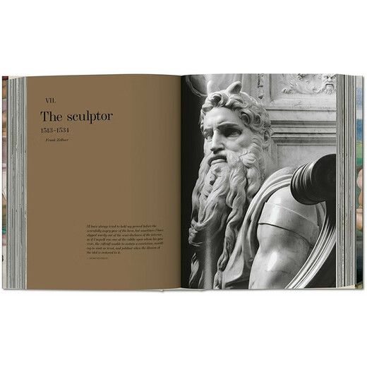 Michelangelo. The Complete Works. Paintings Sculptures Architecture, Michelangelo's complete collection of paintings, sculptures, and architectural works
