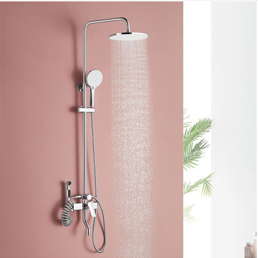 Daihuo Badezimmerpaket Toilette Dusche Zwei-teilige Set Spray Siphon Langsamabdeckung Toilette mit Top Spray Dusche 62 6189 Toilette + 5511-P01CP Dusche 305 Grubenentfernung (Factory Direct Lieferung landesweit gemeinsame Versicherung)