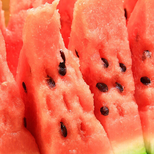 Shouhe Lazy Man Watermelon Seed Lazy Man King Melon Extra Large Spring No Pruning Lazy Man Fruit Seedling Southern Sweet Qishan Sweet No. 8 Lazy Man Watermelon Seed 50 capsules 3