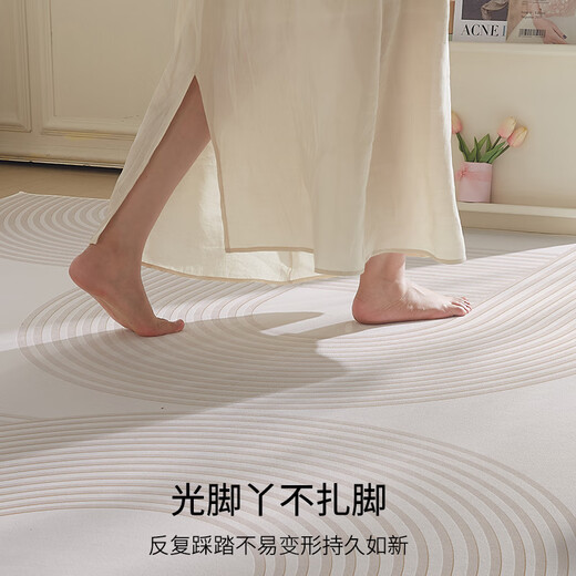 布迪思地毯卧室大面积满铺家用客厅毯沙发茶几轻奢防滑毯简约可定制地毯 现代6210【加厚圈绒】 240*300CM