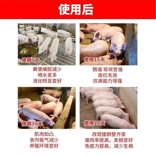 Cattle and sheep fattening, fast fattening, lambs and calves with enlarged frames, fattening, strong and fast fattening, fat king premix 1 bag (trial pack) (cattle and sheep mix 500Jin Jin is equal to 0.5kg)