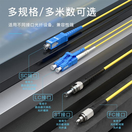 达胜光 电信级光纤跳线 SC-SC单模单芯 低烟无卤光纤线 收发器尾纤连接线 10米3.0 DSG-SUSU10S