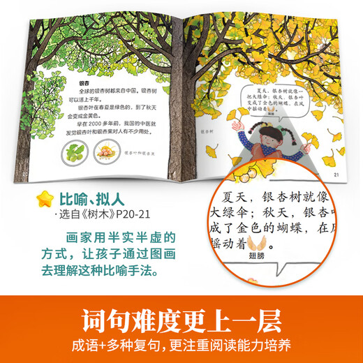 The 123456th grade reading of the 123456th grade children's picture books recommended for kindergartens for 3-6 years old 0-3 years old 0-3 years old bedtime story books enlightenment early education books small class preschool literacy language Chinese reading materials [Supporting combination] The 6th grade of the 12 volumes