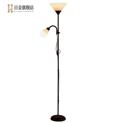 Nordic living room bedroom simple Internet celebrity LED modern decoration study multi-functional vertical lamp 5021 white model 15W+9W three-color dimming