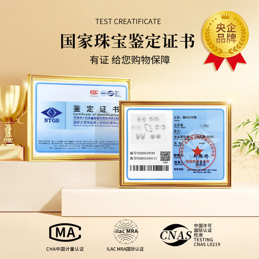 Chinese Gold One Week Silver Earrings Women's Earrings Set Silver Earrings Light Luxury Wedding Anniversary Gift for Wife and Girlfriend Birthday Star and Moon One Week Earrings-Valentine's Day Flower Box-Jingsuda