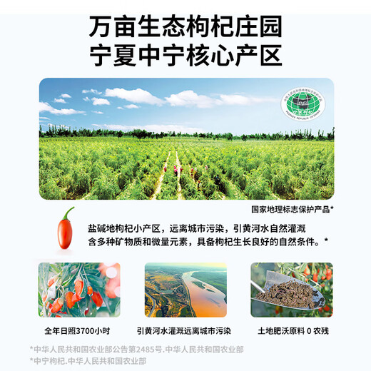 早康宁夏中宁枸杞原浆300ml头茬鲜果鲜榨100%送父母补礼物肾